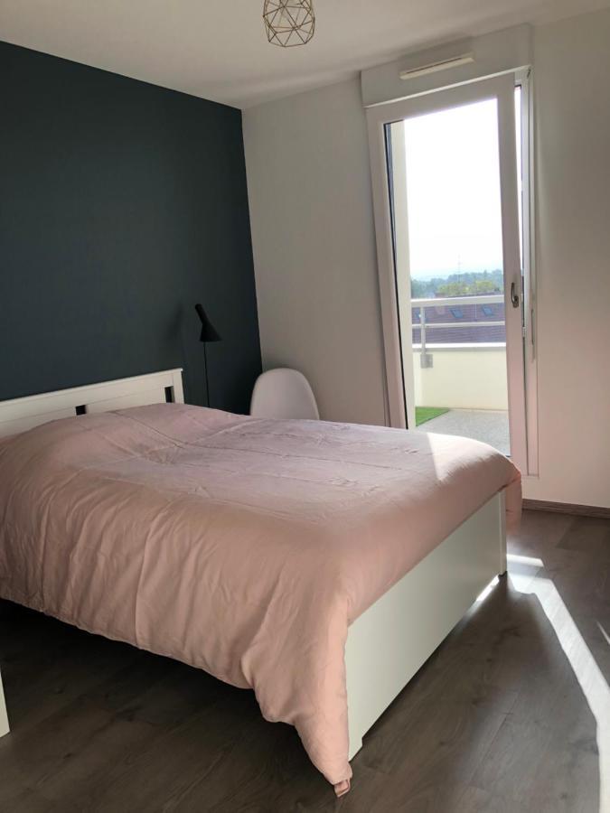 La Terrasse Apartment สตราสบูร์ก ภายนอก รูปภาพ